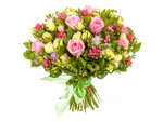 Бувардия